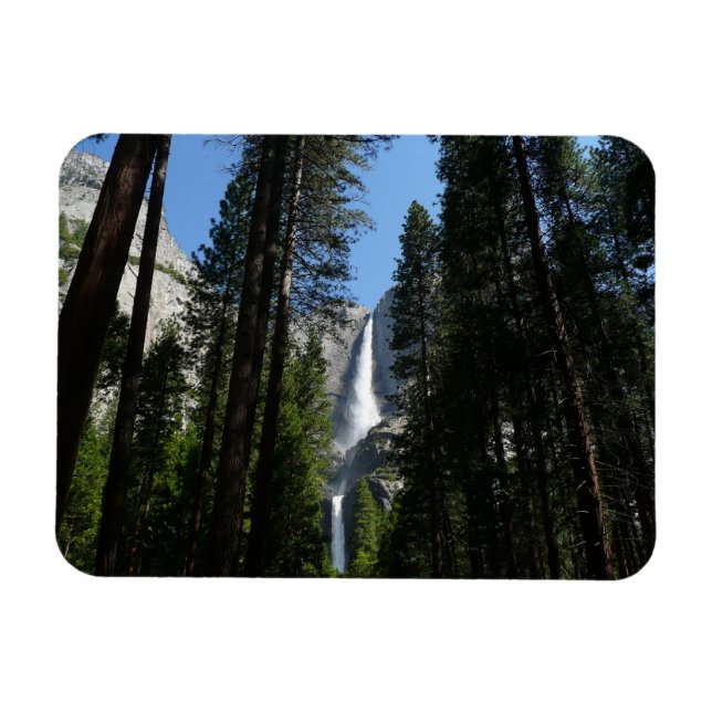 Ímã Fotografia de Yosemite Falls and Woods Landscape (Horizontal)