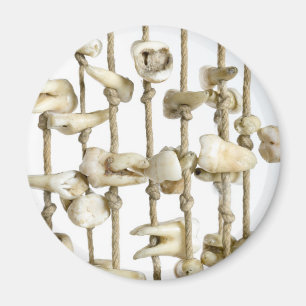 Imã Fotografia dentária engraçada Dentista de dentes e