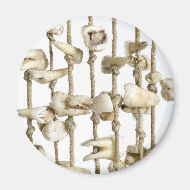 Imã Fotografia dentária engraçada Dentista de dentes e (Frente)