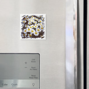 Imã Fotografia do Shasta Daisies White Center