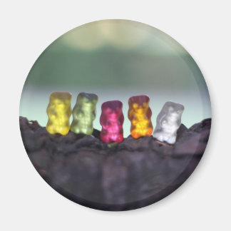Imã Fotografia dos Ursos de Goma da Diversidade Colori