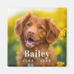 Imã Fotografia Personalizada de Pet Memorial do Cão