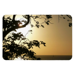 Ímã Fotografia Tropical II através do Sol