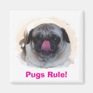 Imã Fotografias Personalizadas Personalizadas