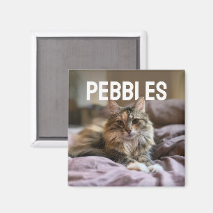 Imã FotoPop Foto de Animal Personalizada