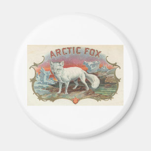 Imã Fox ártico do vintage