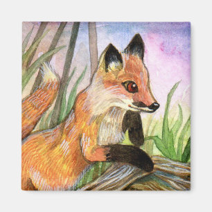 Imã Fox do bebê