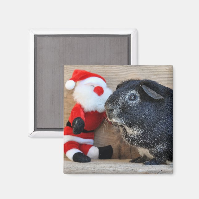 Imã Fox Guiné Pig e Papai Noel (Front/Back)