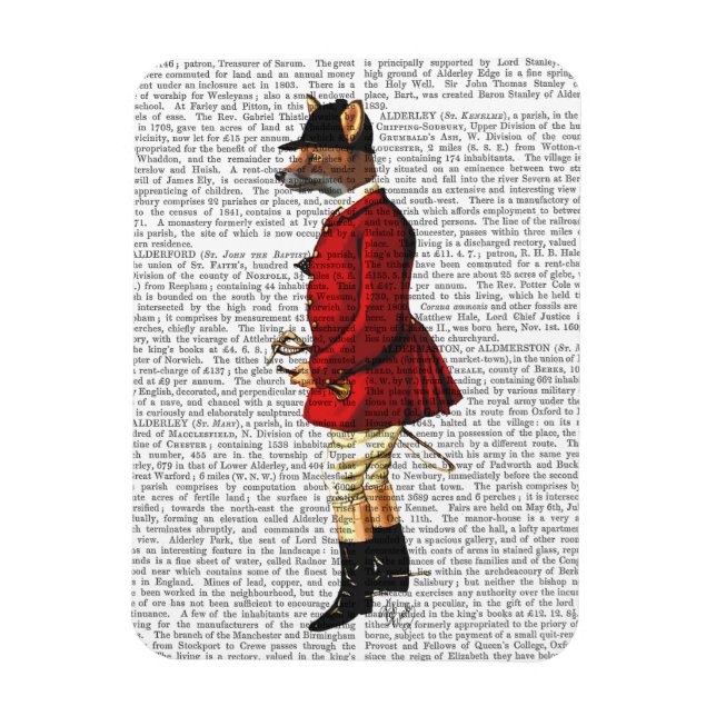 Ímã Fox Hunter 1 2 (Vertical)