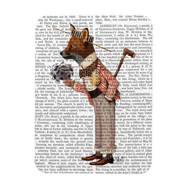 Ímã Fox in Boater (Vertical)