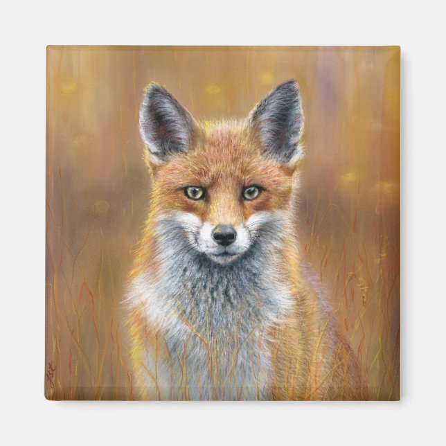 Imã Fox Magnet (Frente)