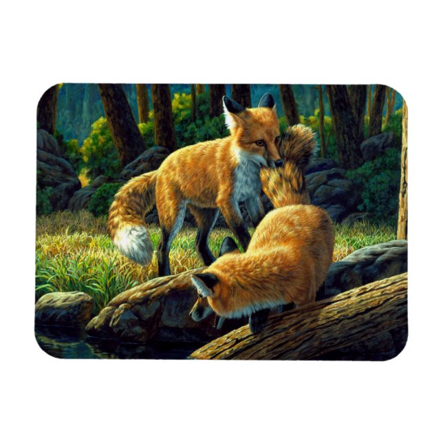 Ímã Fox Vermelha Cura Jogando (Horizontal)