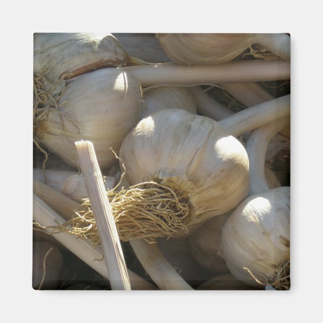 Imã Fragrantemente delicioso em forma bruta (Frente)