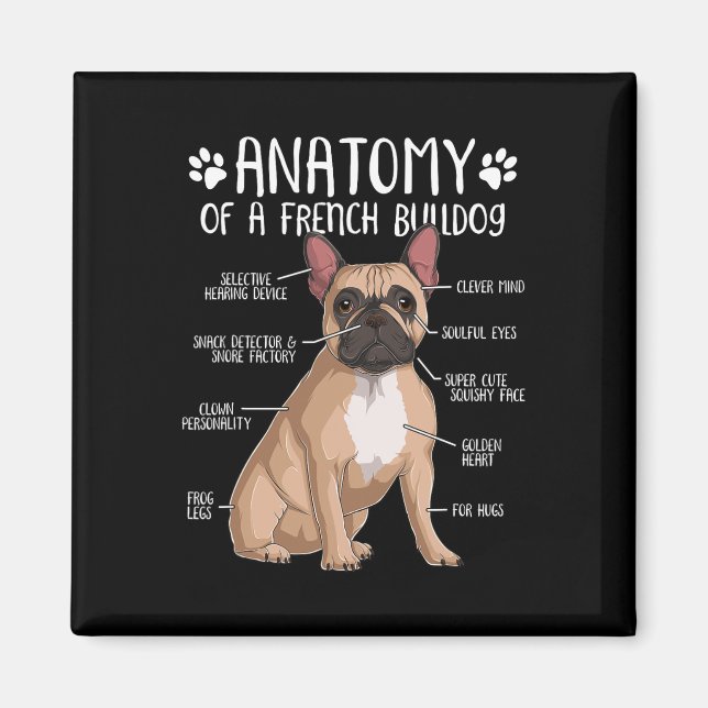Imã Francês Bulldog Anatomy Frenchie Dog Proprietário (Frente)