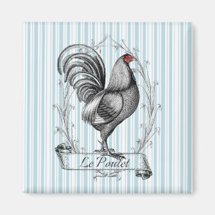 Imã Francês Galo Le Poulet