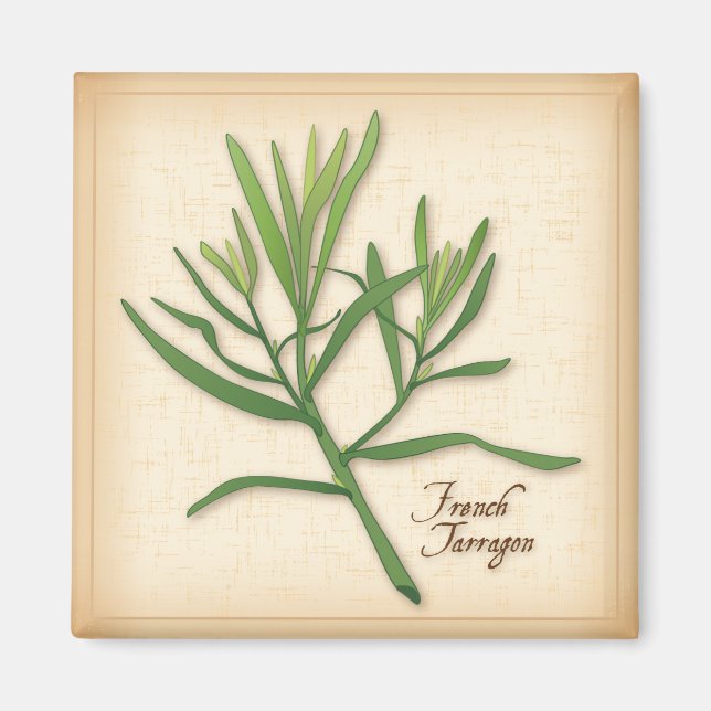 Imã Francês Tarragon Herb (Frente)