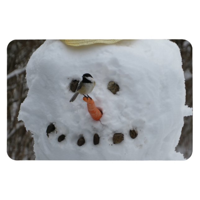 Ímã Frango no Nose do Carrot Snowman (Horizontal)