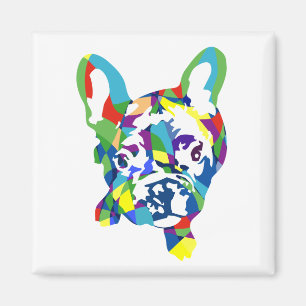 Imã Französische Buldogge Welpe