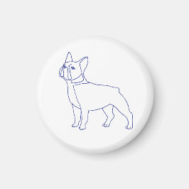 Imã Französische Bulldogge