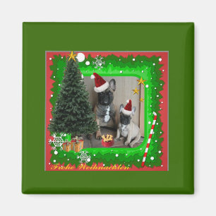 Imã Französische Bulldoggen Weihnachten