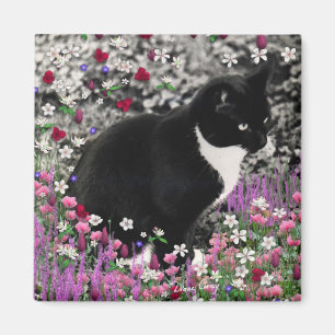 Imã Freckles nas flores II - gato do gatinho de Tux