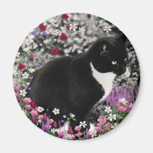 Imã Freckles nas flores II - gato do smoking