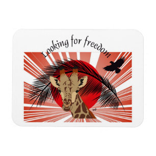 Ímã Freedom Premium Flexi íman