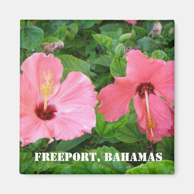Imã Freeport, Bahamas Magnet (Frente)