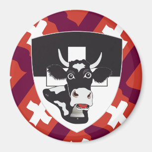 Imã Freiburg Fribourg Suíça Suisse íman
