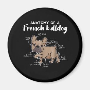 Imã French Gift Anatomia De Um Presente Francês Para