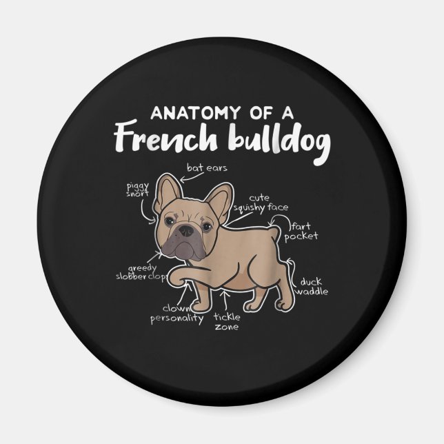 Imã French Gift | Anatomia De Um Presente Francês Para (Frente)