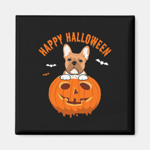Imã Frenchie Bulldog Pumpkin Costumes Ação de Graças