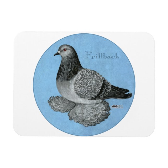 Ímã Frente Azul Grizzle Pigeon (Horizontal)