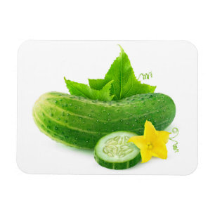 Ímã Fresh cucumber