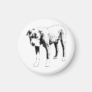 Imã Fridge Friend, Pit Bull Firme