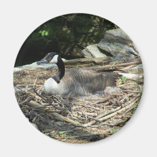 Imã 'Fridge Goose Magnet
