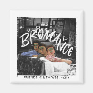 Imã FRIENDS™   Ross, Joey e Chandler Bromance