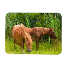 Ímã Frigorífico Magnet Assateague Cavalos Selvagens