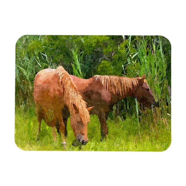Ímã Frigorífico Magnet Assateague Cavalos Selvagens (Horizontal)