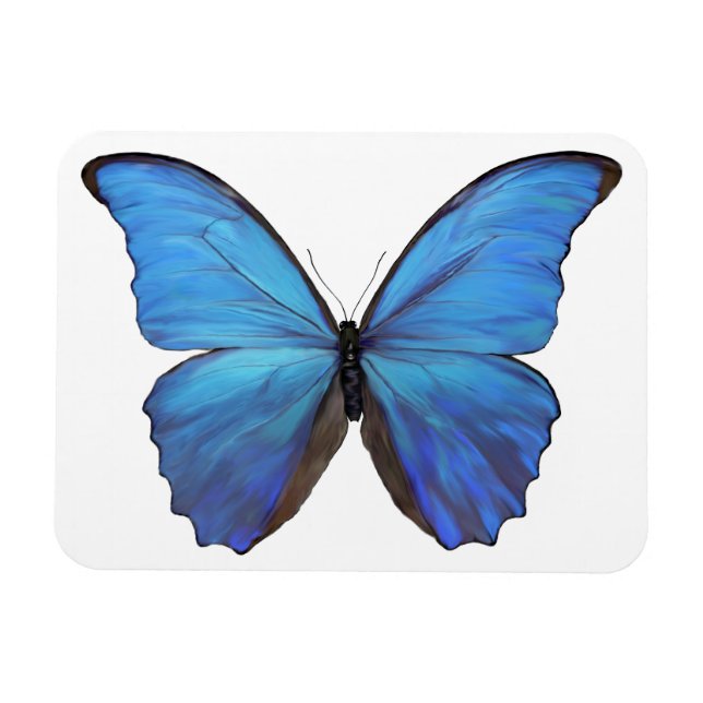 Ímã Frigorífico Magnet Blue Butterfly (Horizontal)
