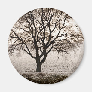 Imã frio e adorável