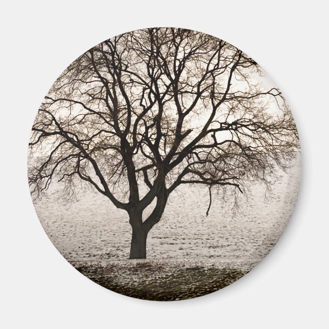 Imã frio e adorável (Frente)