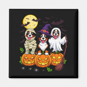 Imã Fro costume de Halloween de Cachorro Montanha Bern