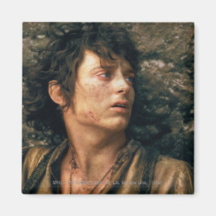 Imã FRODO™ em desespero