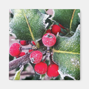 Imã Frosty Holly