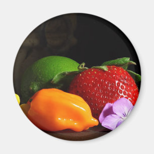 Imã fruta-ainda-vida