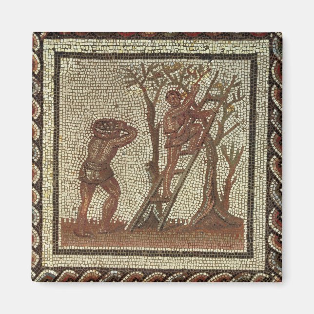 Imã Fruta de colheita, mosaico romano (Frente)