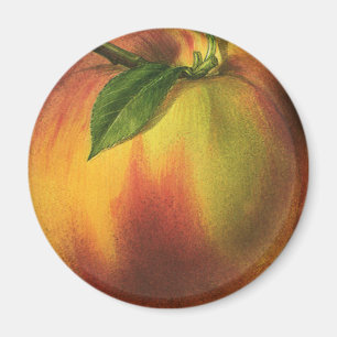 Imã Fruta de Comida, Pêssego Orgânico Elevado com Fo
