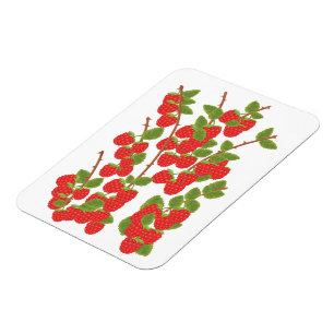 Ímã Fruta de framboesa