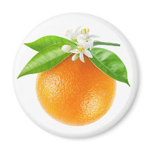 Fruta de laranja e flores